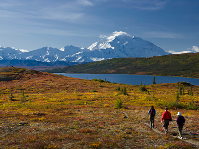 Alaska Wild Journey