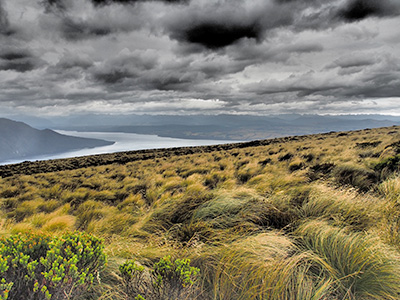 Naturperlen Neuseelands